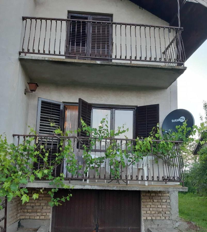 Backi Raj Villa Gornja Rogatica Exterior photo