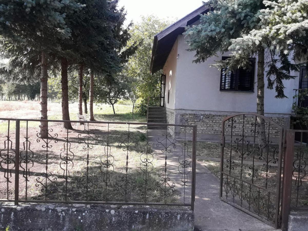 Backi Raj Villa Gornja Rogatica Exterior photo