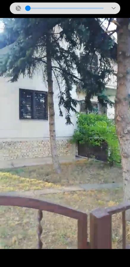 Backi Raj Villa Gornja Rogatica Exterior photo